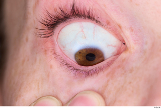 HD Eyes Lexi eye eyelash iris pupil skin texture 0005.jpg